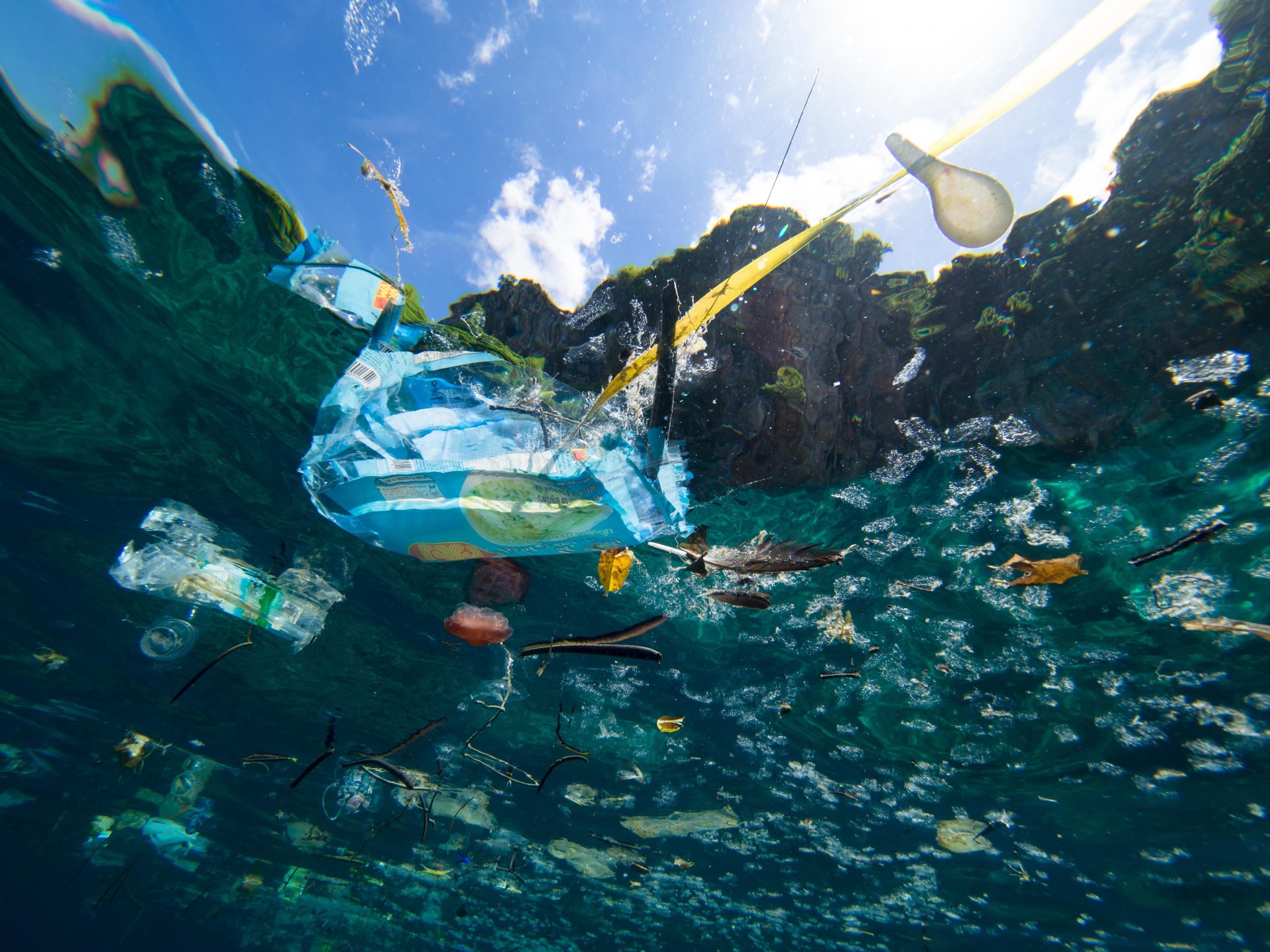 plastic pollution in the ocean