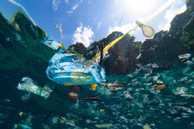 In some parts of our oceans, there is six times more plastic than plankton