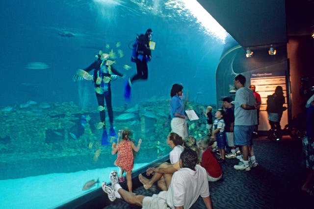 People at marine tank North Carolina Aquarium, Manteo