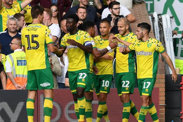 Teemu Pukki celebrates scoring the winning goal for Norwich