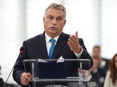 Tory MEPs thanked by Hungary's far-right leader Orban for 'support'