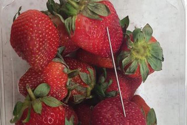 A thin piece of metal seen among a basket of strawberries in Queensland