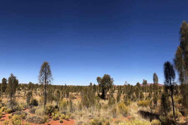 The dry plains of Uluru
