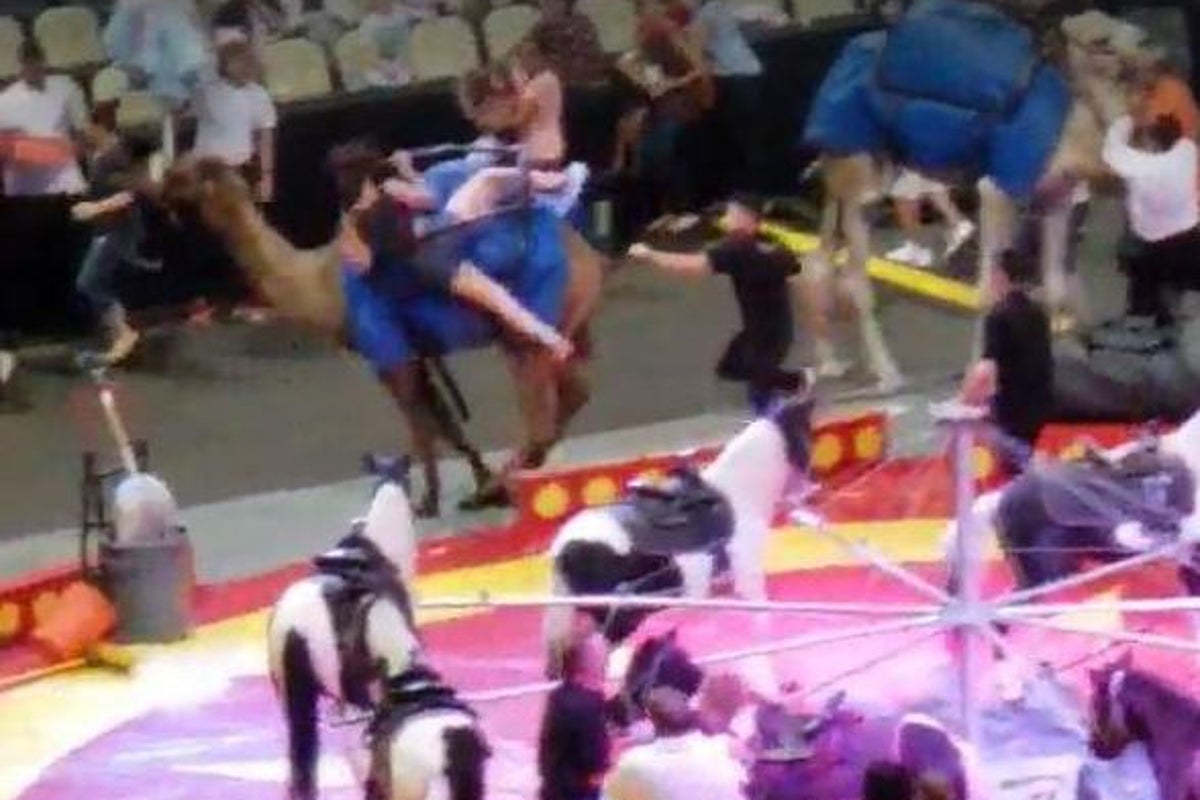 'Spooked' camel runs amok at Pittsburgh circus injuring seven people ...