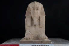 Ancient sphinx found during water draining at pharaoh’s temple