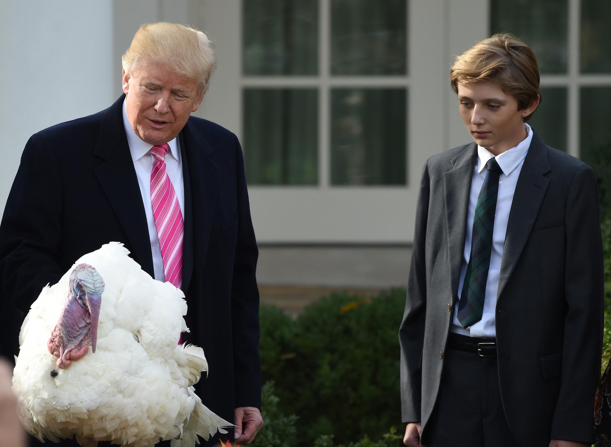 President Donald Trump pardons the turkey, Drumstick, as his son Barron looks on during the turkey pardoning ceremony at the White House last November