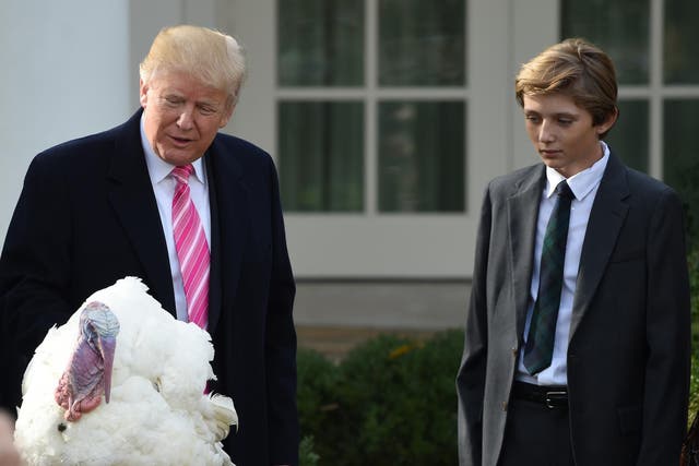 President Donald Trump pardons the turkey, Drumstick, as his son Barron looks on during the turkey pardoning ceremony at the White House last November