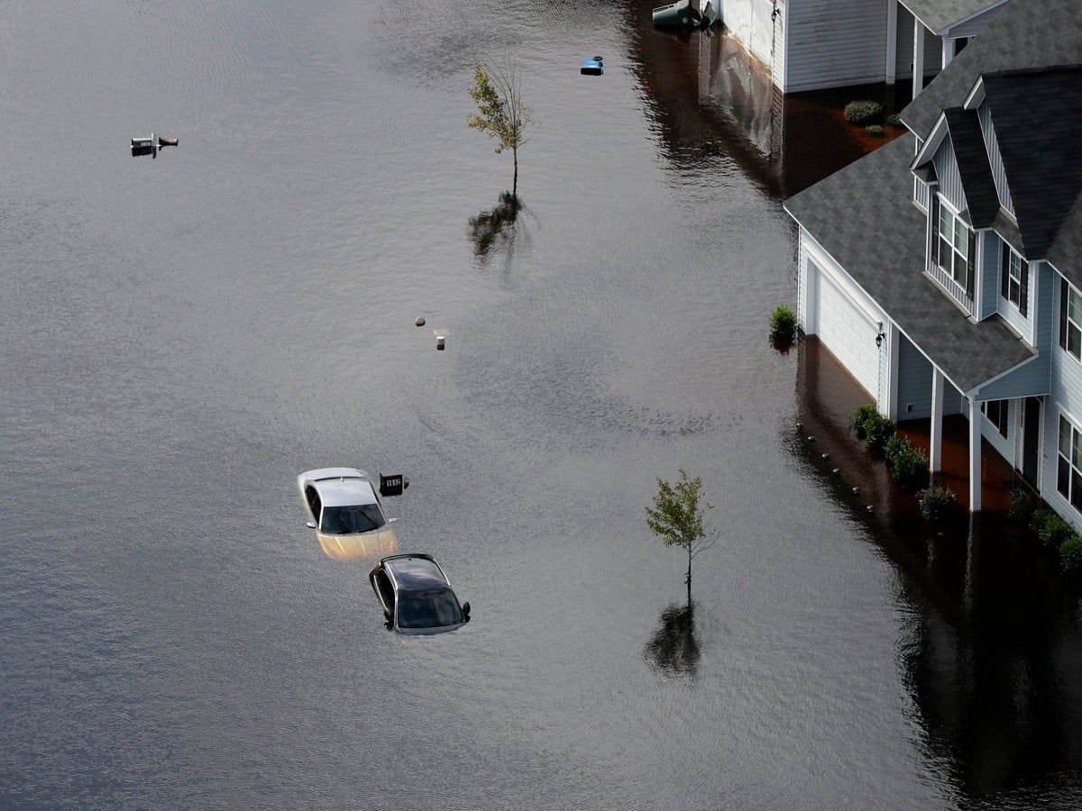 Human interference is making natural disasters worse, experts warn | The  Independent | The Independent