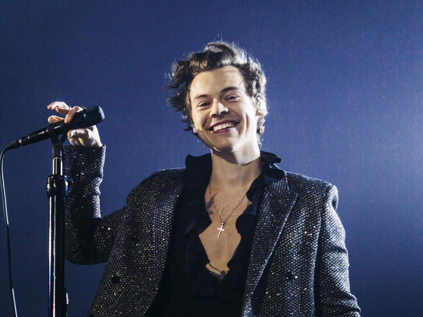 Harry Styles could play Prince Eric in the forthcoming live-action remake of The Little Mermaid