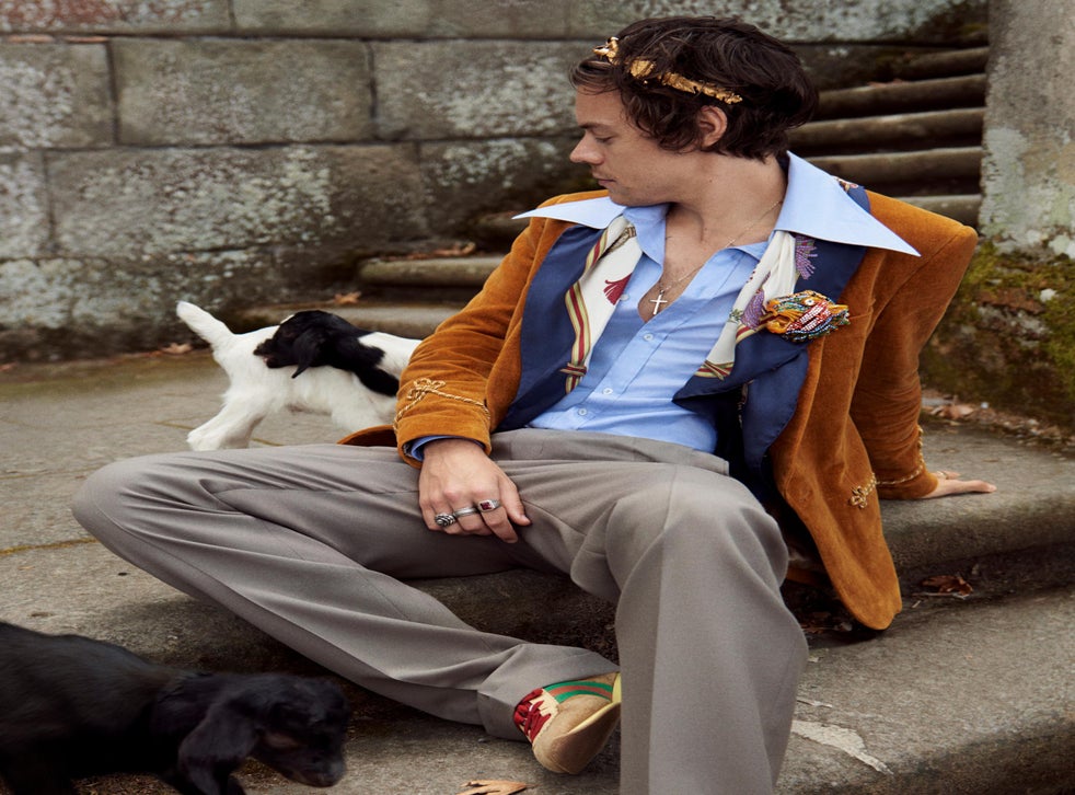 Harry Styles Fronts Gucci Campaign With Baby Pigs And Goats The Independent The Independent