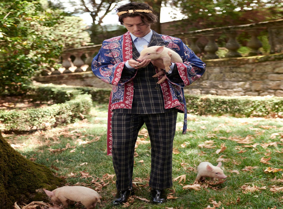 Harry Styles Fronts Gucci Campaign With Baby Pigs And Goats The Independent The Independent