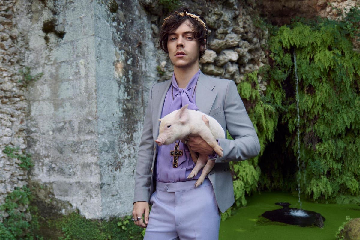 Fruity Grusom At accelerere Harry Styles fronts Gucci campaign with baby pigs and goats | The  Independent | The Independent