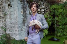 Harry Styles’s latest Gucci campaign features a pig- and fans love it
