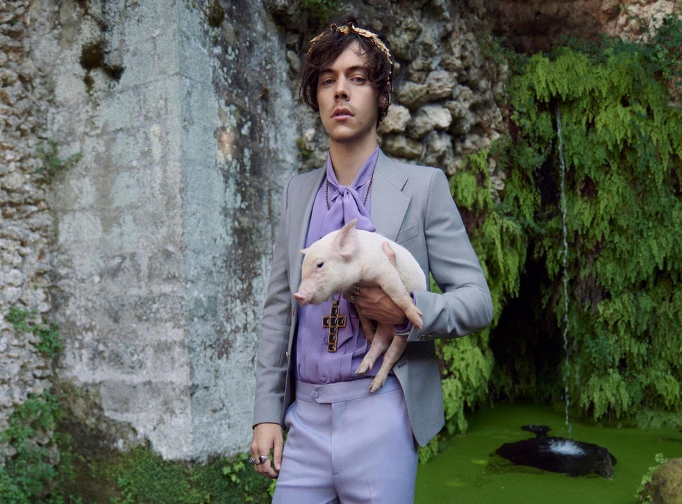 Harry Styles Fronts Gucci Campaign With Baby Pigs And Goats The Independent The Independent