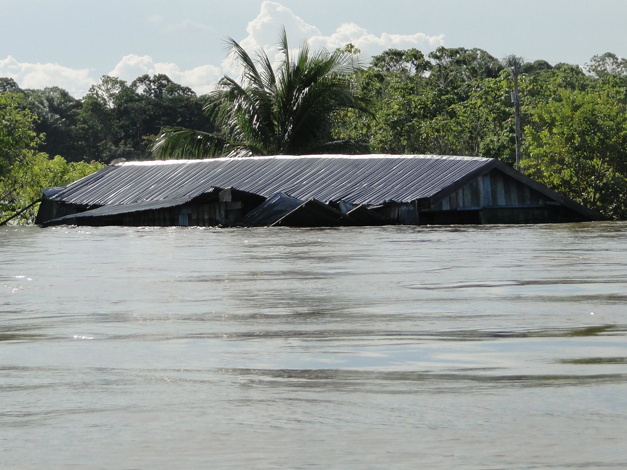Inundated house along Solimões River (Central Amazonia) during the record-breaking flood in 2012