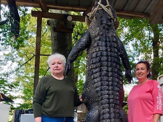Judy Cochran (left) took one shot to kill the 580-pound ’gator
