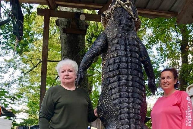 Judy Cochran (left) took one shot to kill the 580-pound ’gator