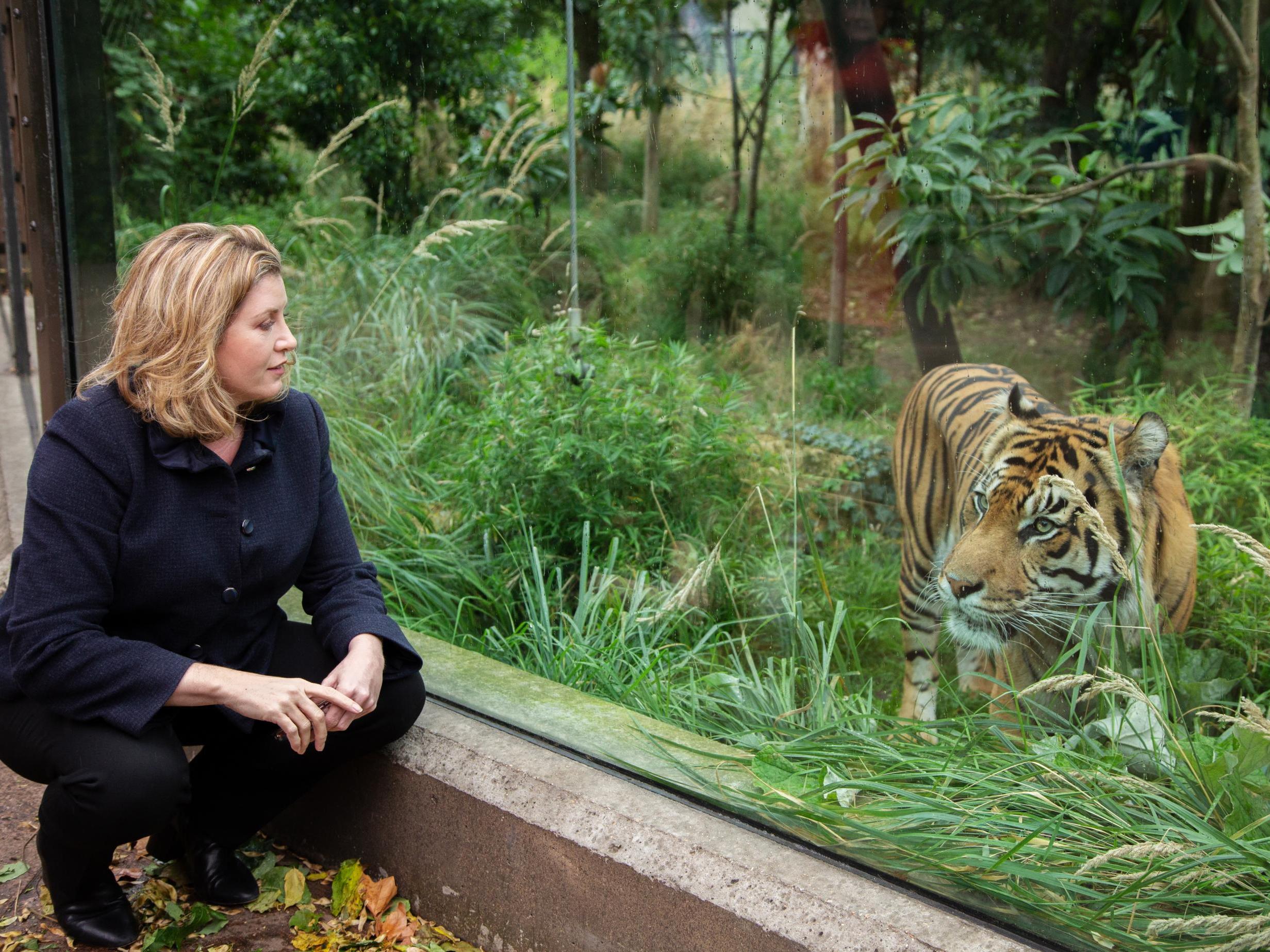 Penny Mordaunt announced the investment during a visit to London Zoo