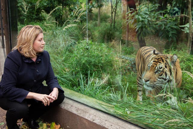 Penny Mordaunt announced the investment during a visit to London Zoo