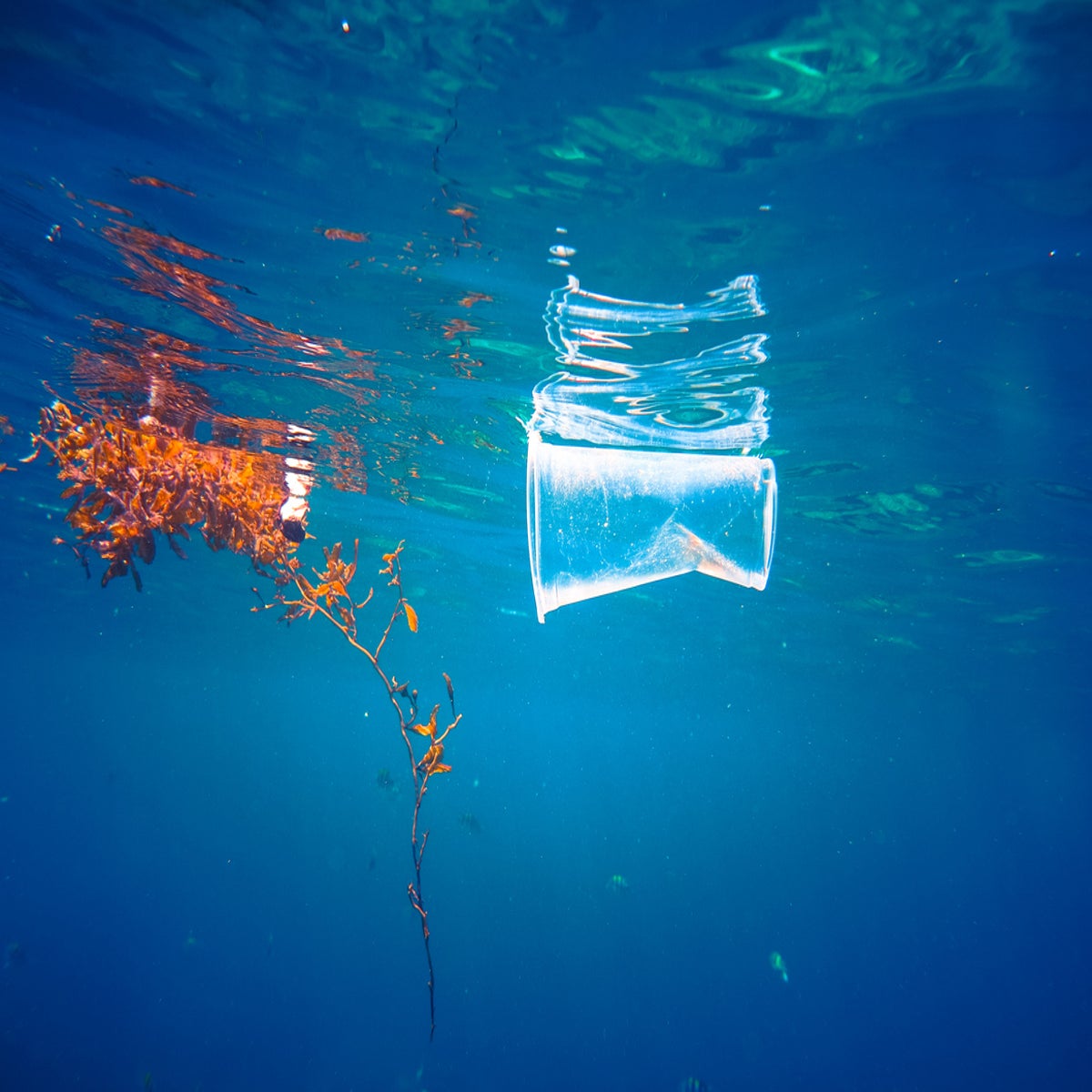 Save Planet Earth Oceans Marine Life Ban Plastic Pollution Art