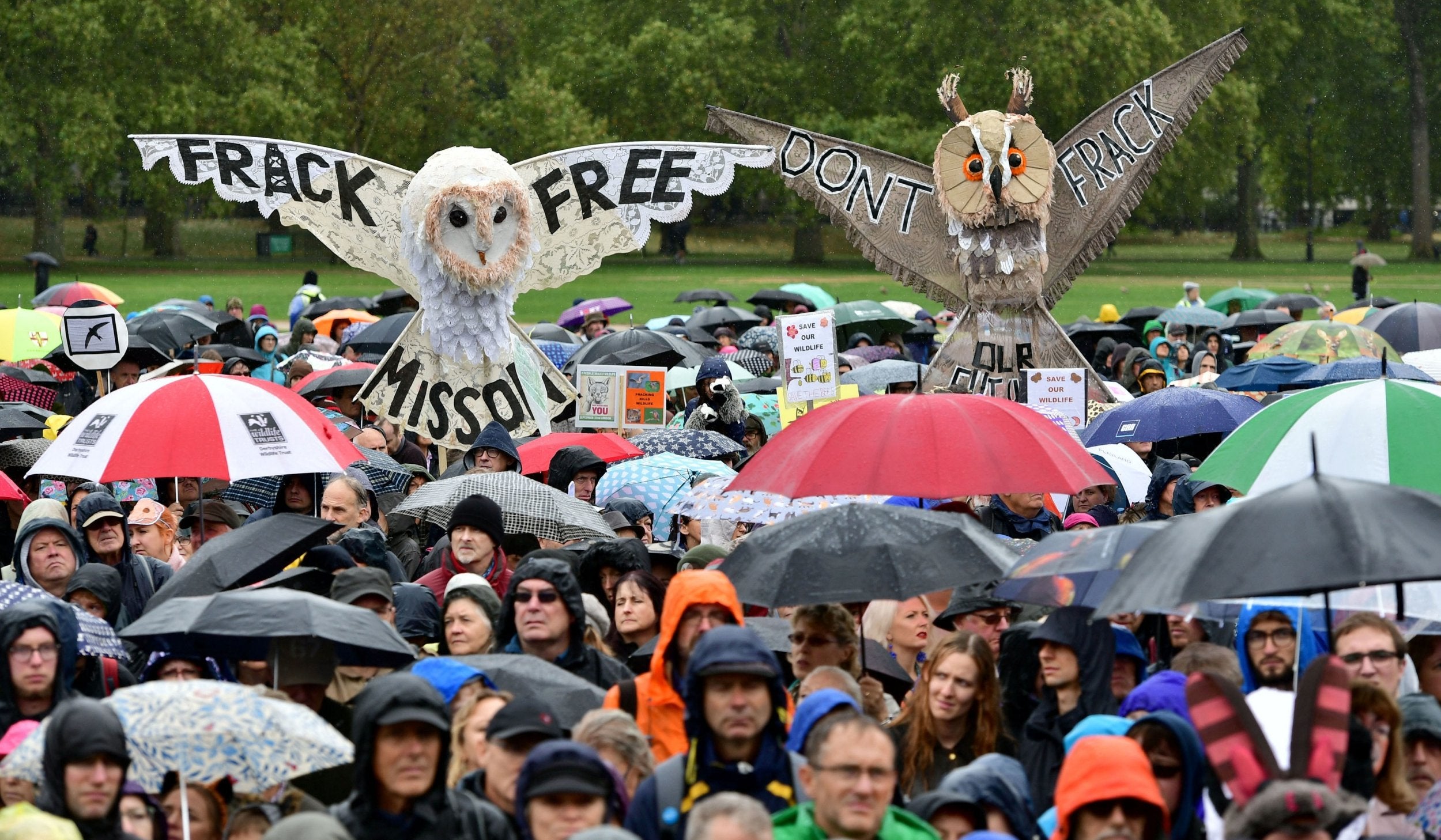 The march drew a large crowd in spite of the rain