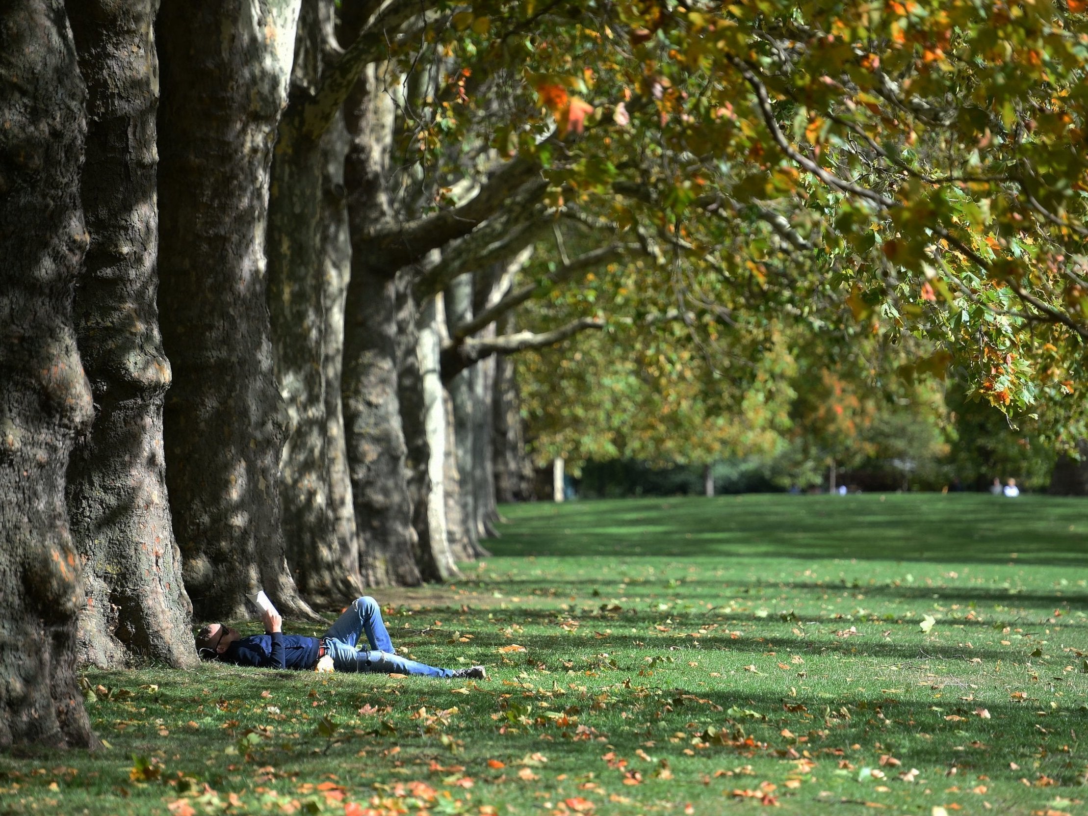 A man relaxes in the sunshine in St James's Park, London