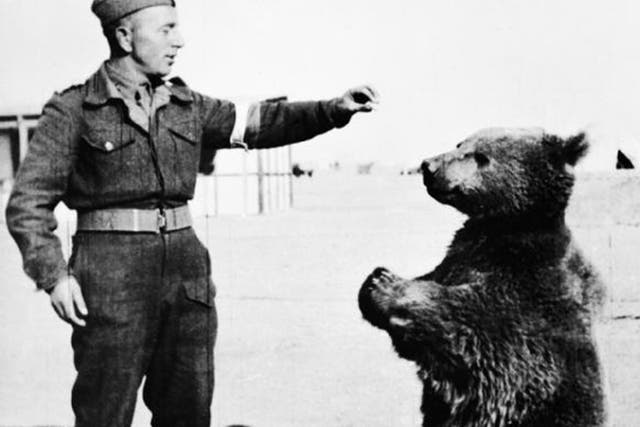 'Private Wojtek', seen here with a fellow soldier, was said to have carried ammunition as the Polish II Corps took Monte Cassino from the Germans
