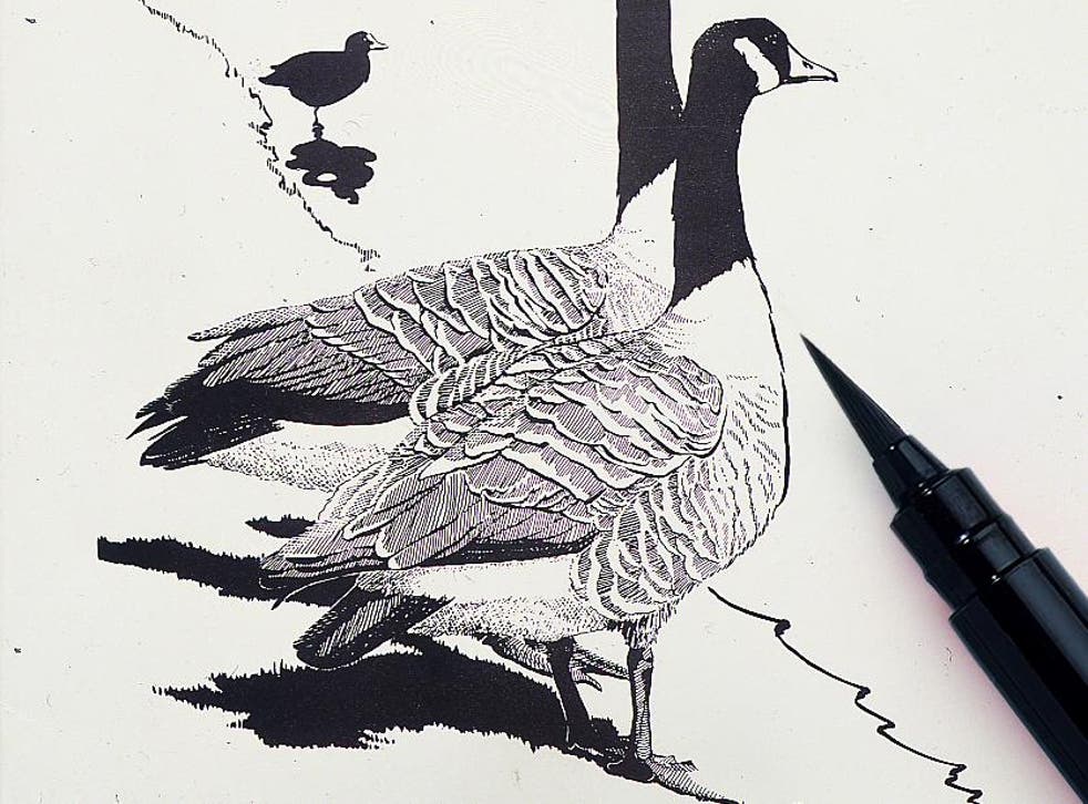 The Pentel Arts Brush Pen is great for professional and amateur artists