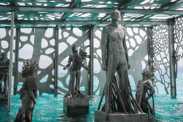 The sculptures in the Coralarium, designed by artist Jason deCaires Taylor