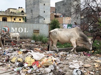 In one part of Raman’s slum, two members of every family are being treated for TB