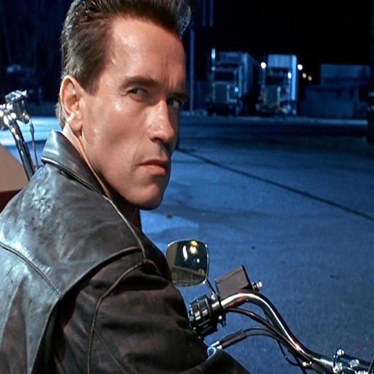 Linda Hamilton Terminator 2 Saor In Aisce Linda Hamilton Has An 'I'll