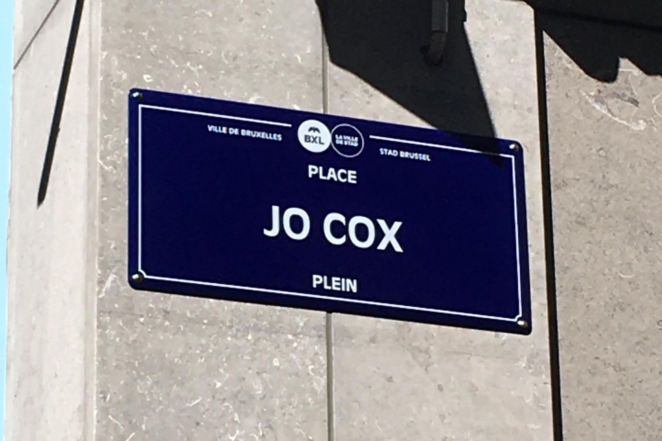 Image result for place jo cox