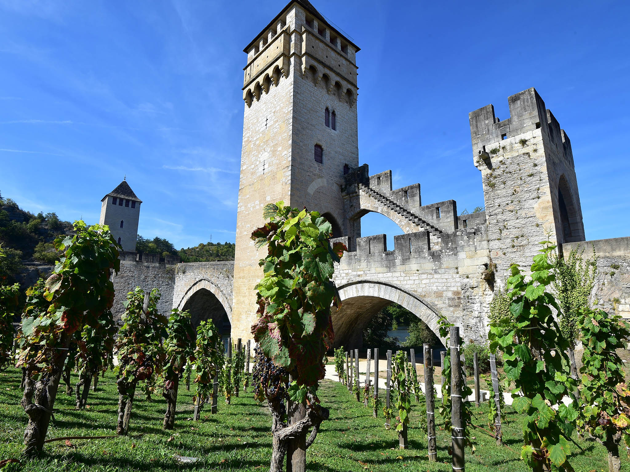 ‘Cahors is the region, the terroir, the people. We’re not malbec, not Argentina’