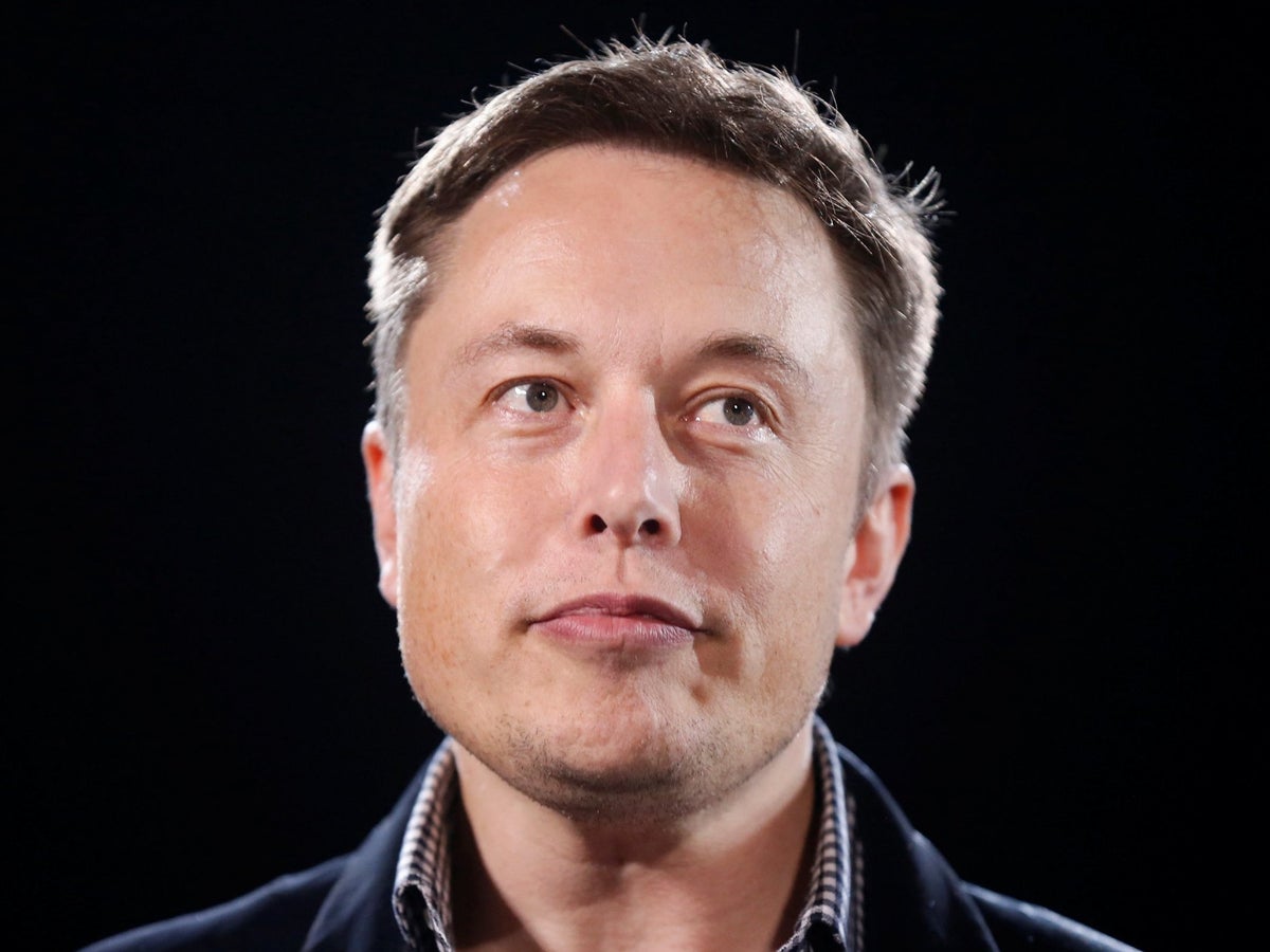 Elon Musk bitcoin scam on Twitter sees hundreds of people lose thousands of  dollars | The Independent | The Independent