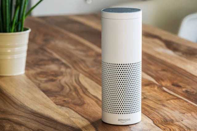 Alexa, what are my human rights?