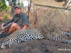Wildlife conservation board member poses with leopard he shot dead