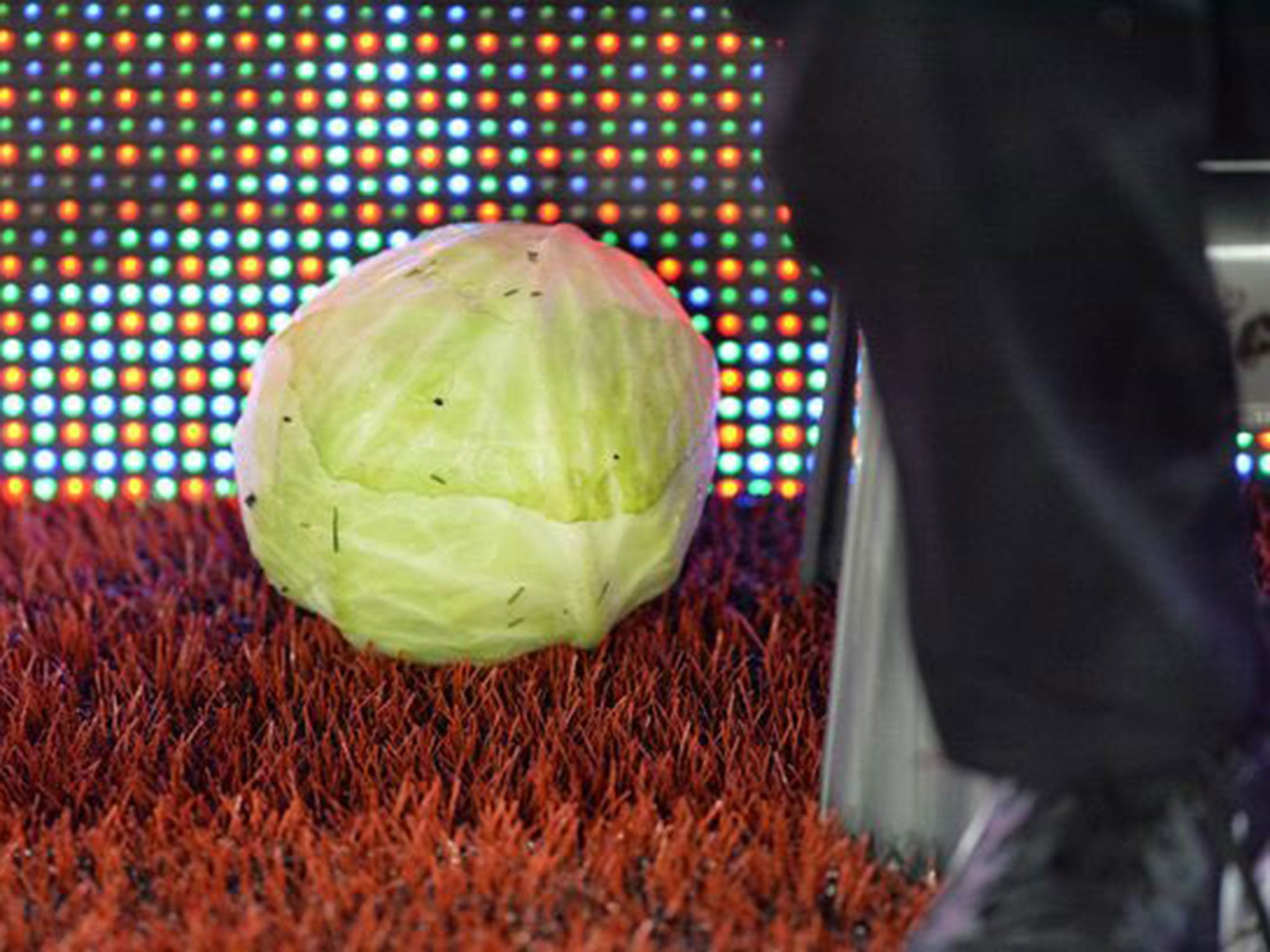 A cabbage was thrown at Aston Villa manager Steve Bruce during the 3-3 draw with Preston