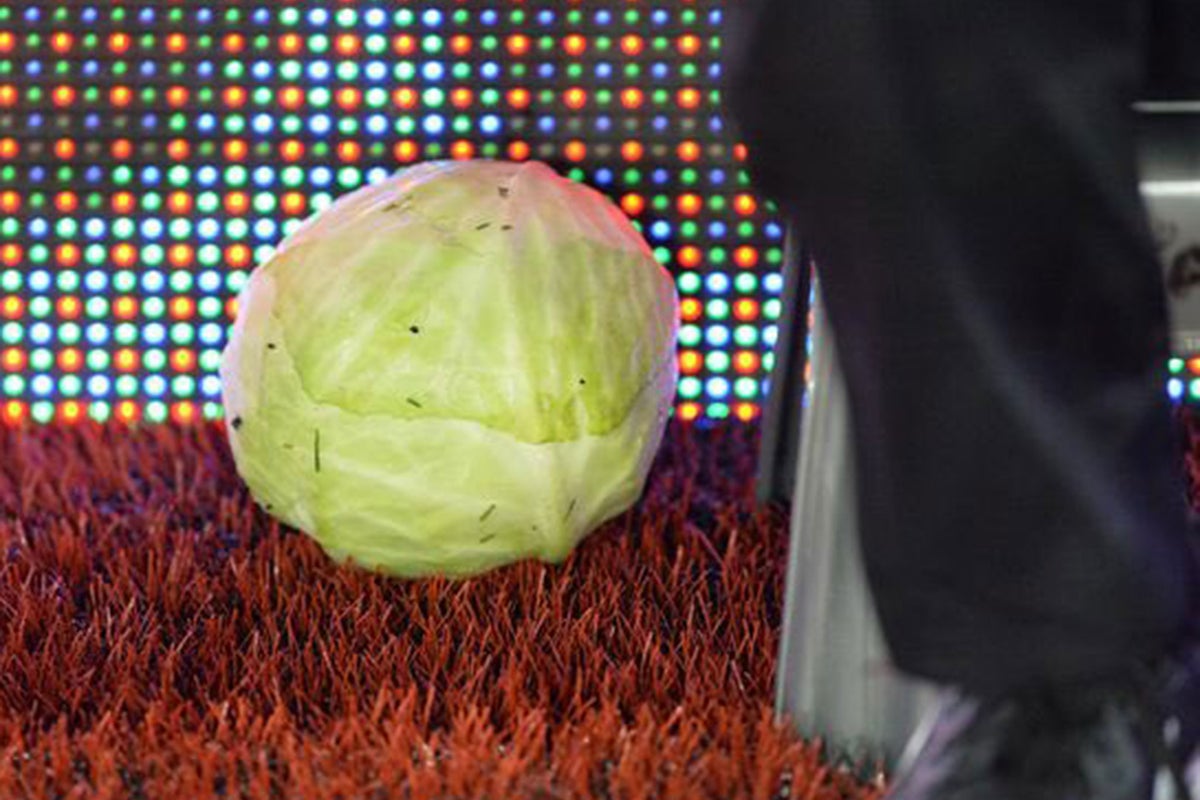 West Midlands Police hunt man who hurled cabbage towards Aston Villa ...