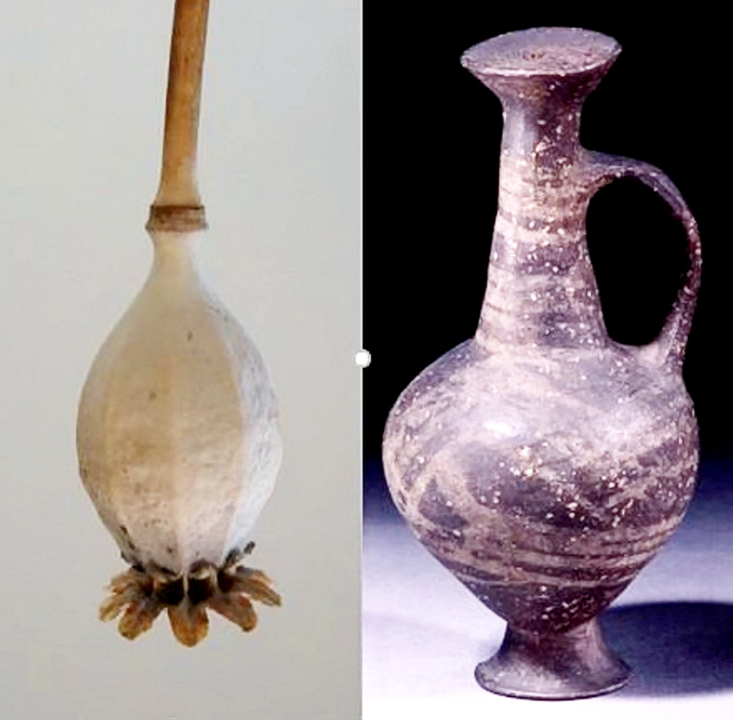 The base-ring juglet resembles the seed head of an opium poppy
