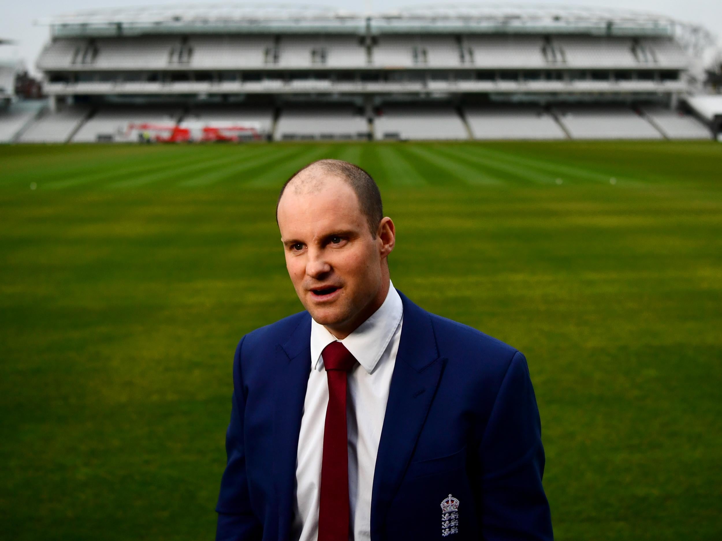 Andrew Strauss has stepped down as ECB director of cricket