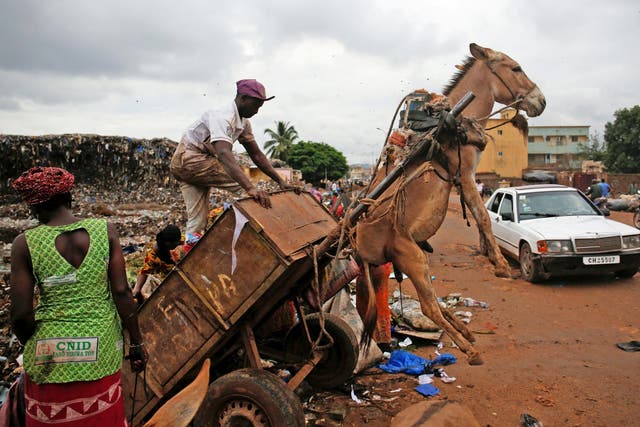 One operation in Bamako has had to quadruple its fleet of carts in a decade