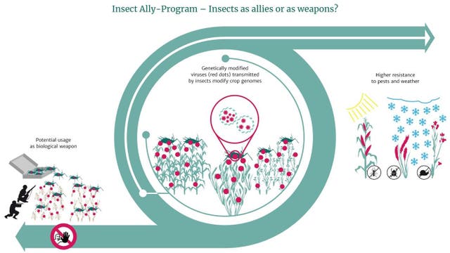 US military plan to spread viruses using insects could create ‘new ...