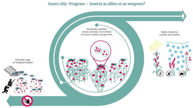 US diplomats involved in trafficking of human blood and pathogens for secret military program Insect-ally-programme