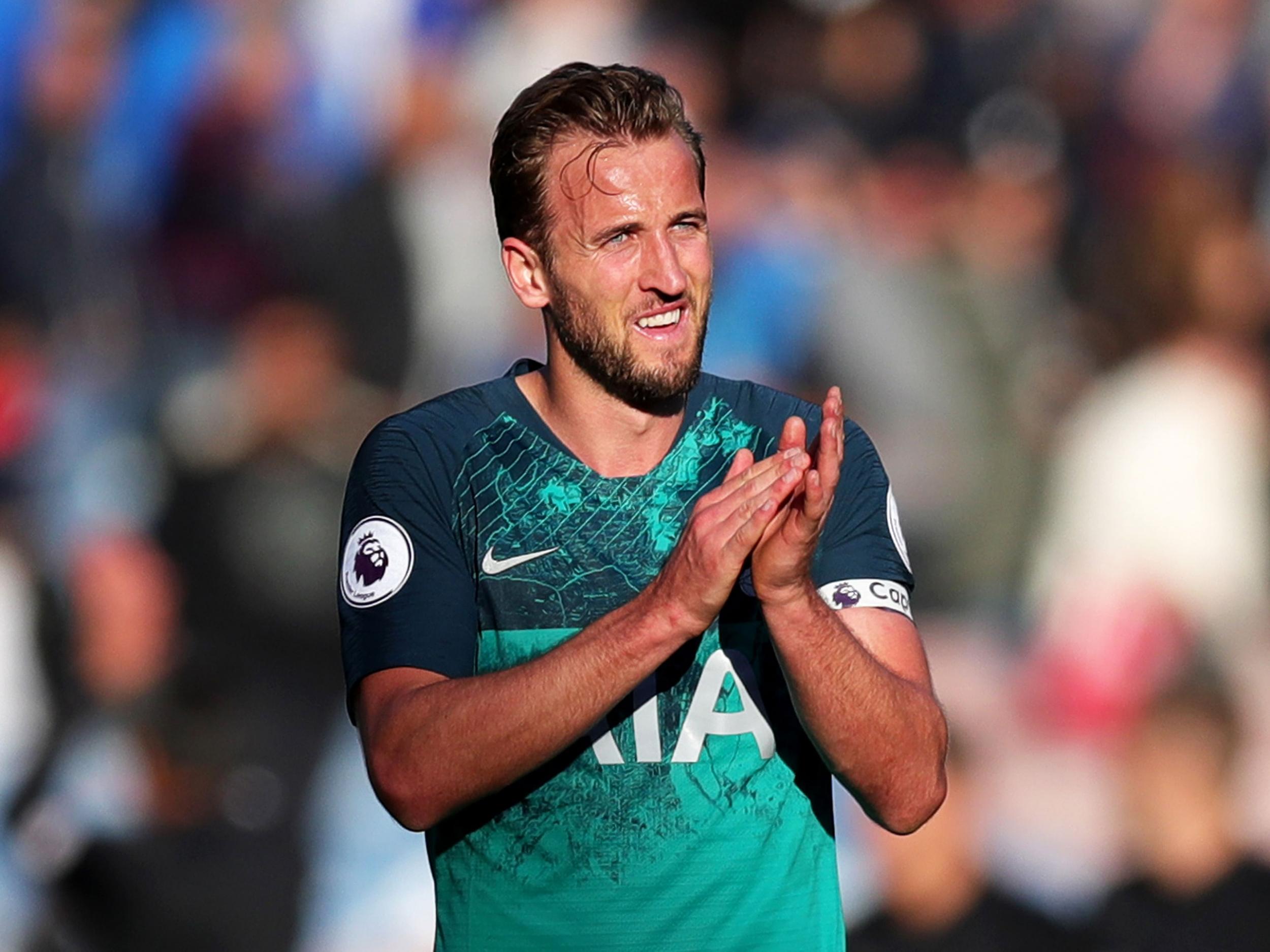 <b>Opponent:</b> Cardiff City (H) 
<br><b>Price:</b> £12.5m 
<br><b>Ownership:</b> 29.9%