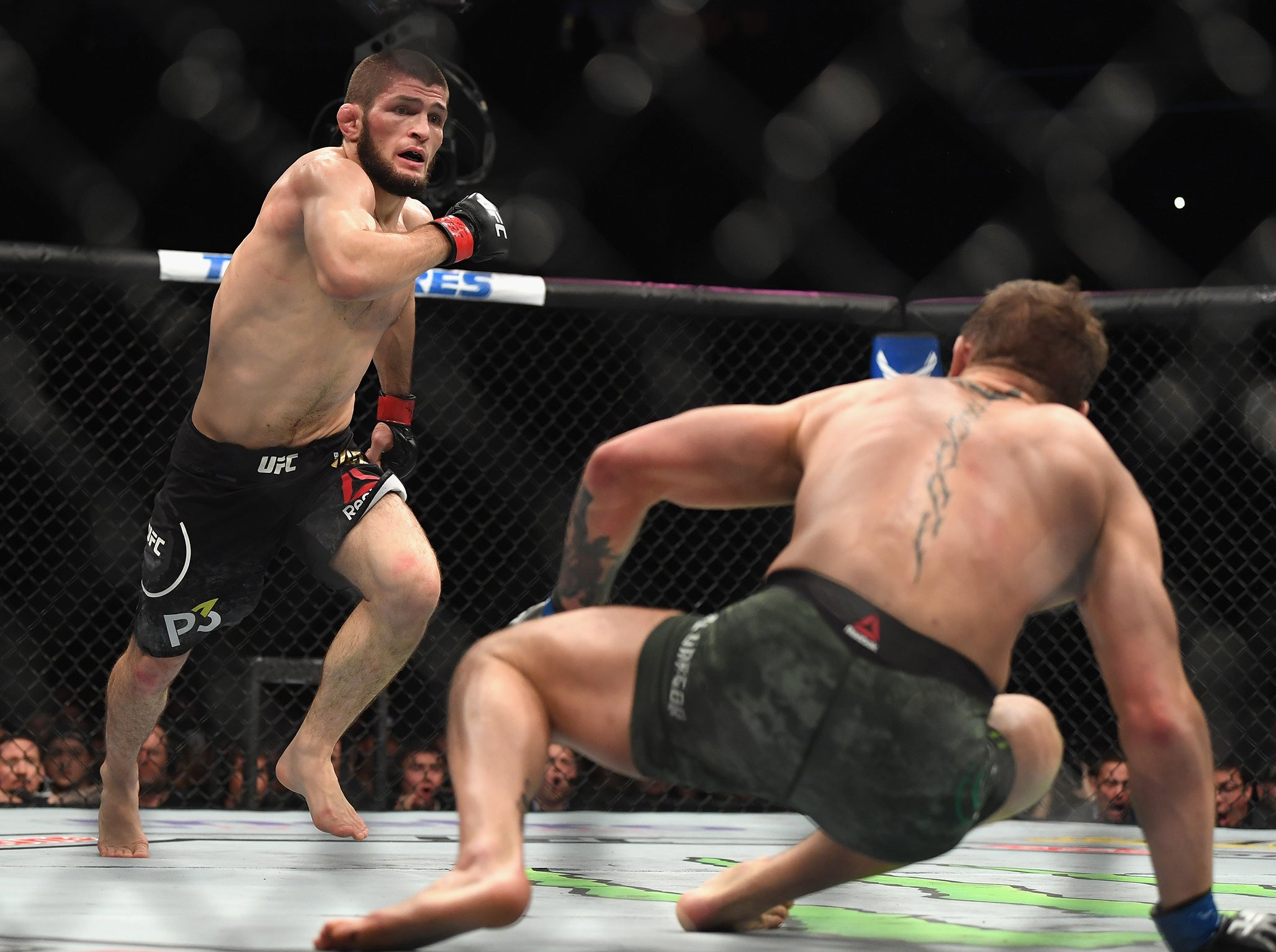 Conor McGregor vs Khabib LIVE Fight ends in chaos as police drag