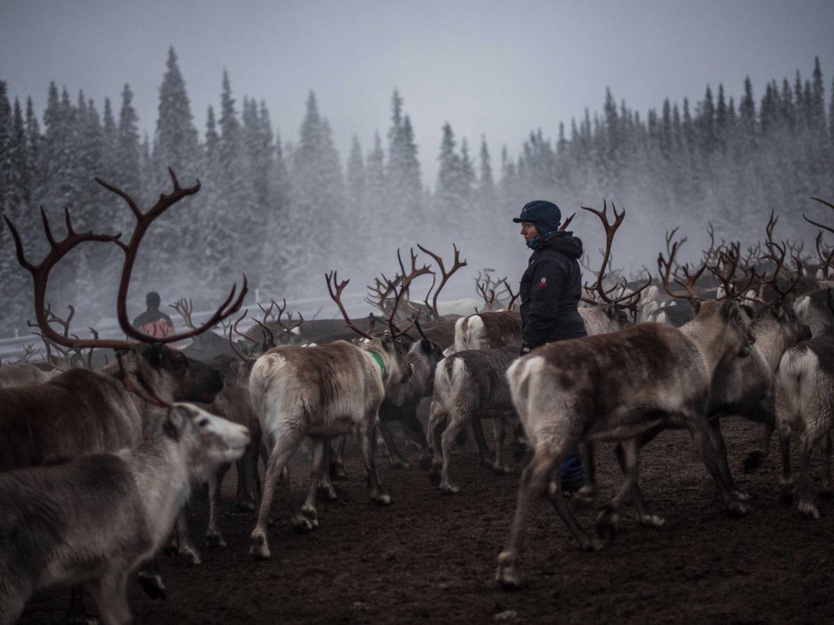 ‘It’s a matter of survival’: Activists from the Arctic to Pacific islands fear life beyond 1.5C warming