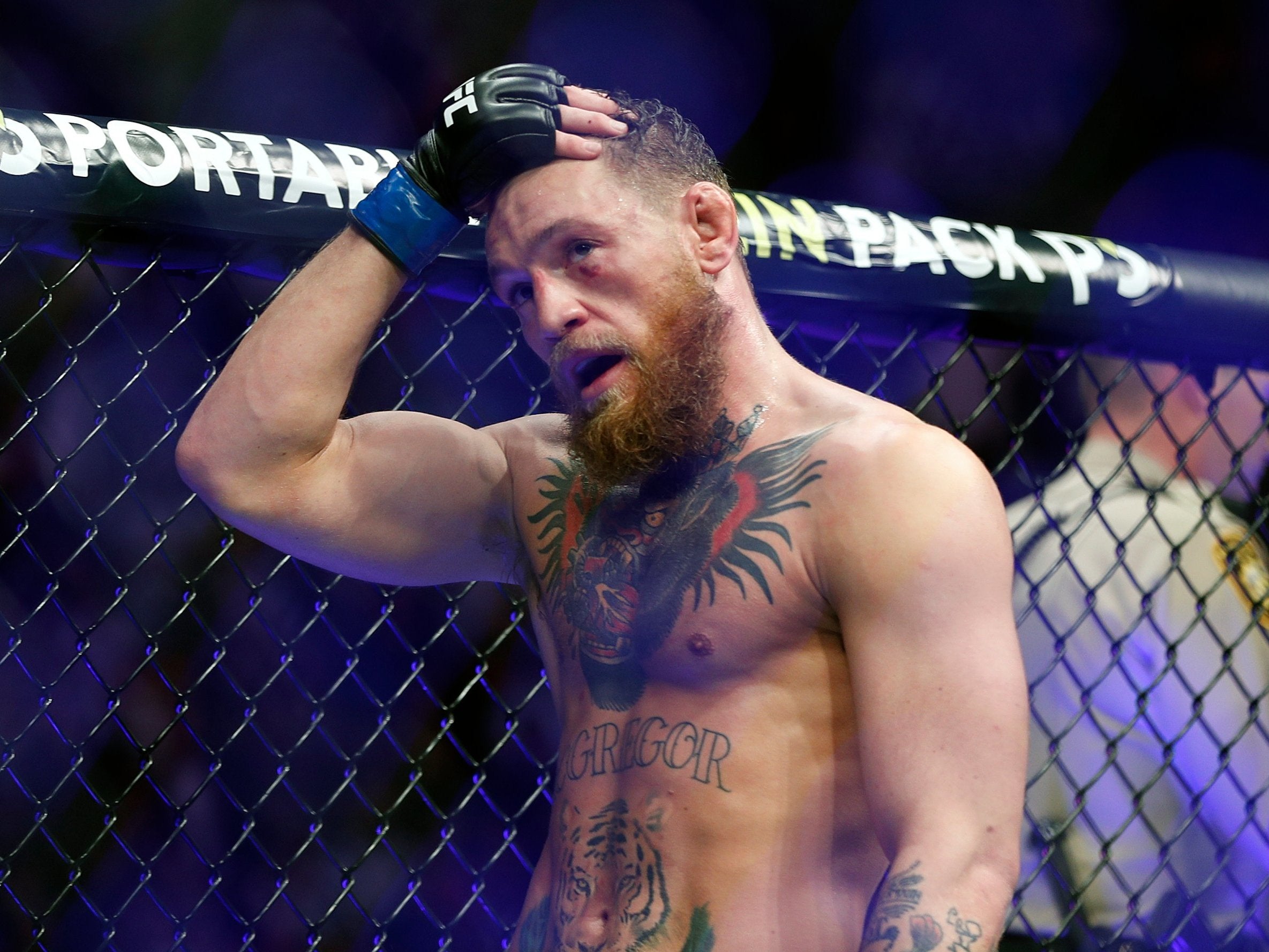 Conor McGregor vs Khabib: What next for McGregor after heavy defeat at UFC 229? | The ...2369 x 1777