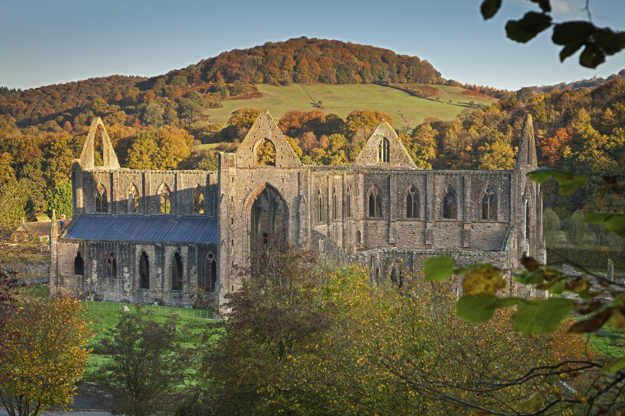 Tintern Abbey in all its autumn beauty