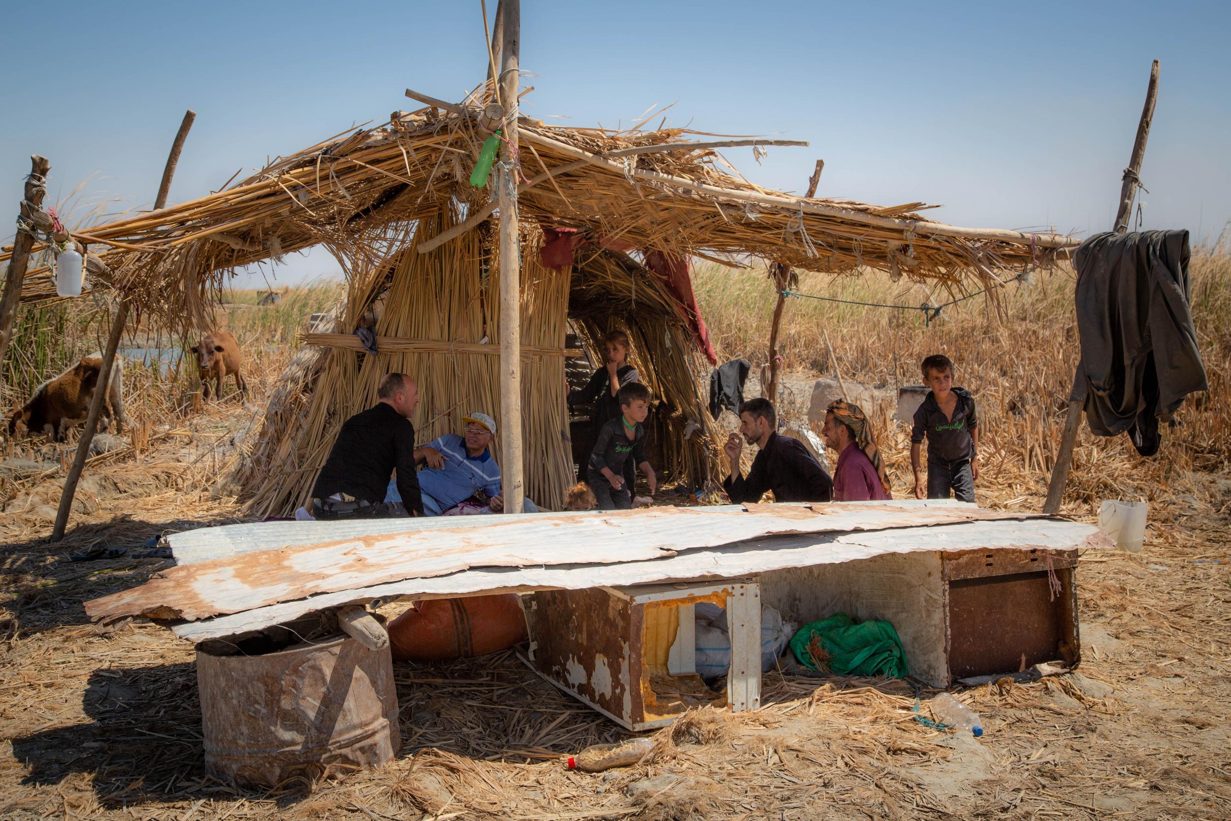 A traditional reed hut which houses a family of eight in the marshlands in Iraq