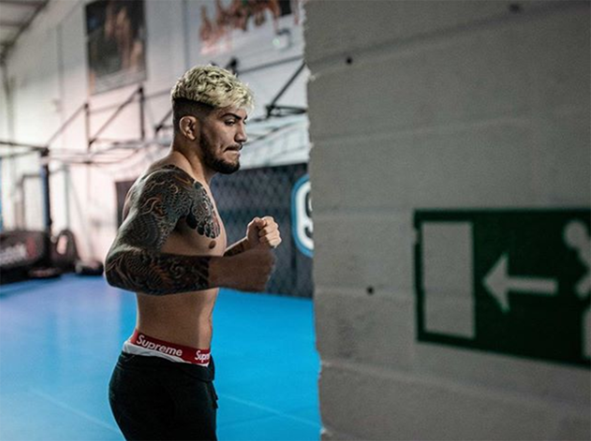 Dillon Danis is a jiu-jitsu champion and ex-teammate of Conor McGregor